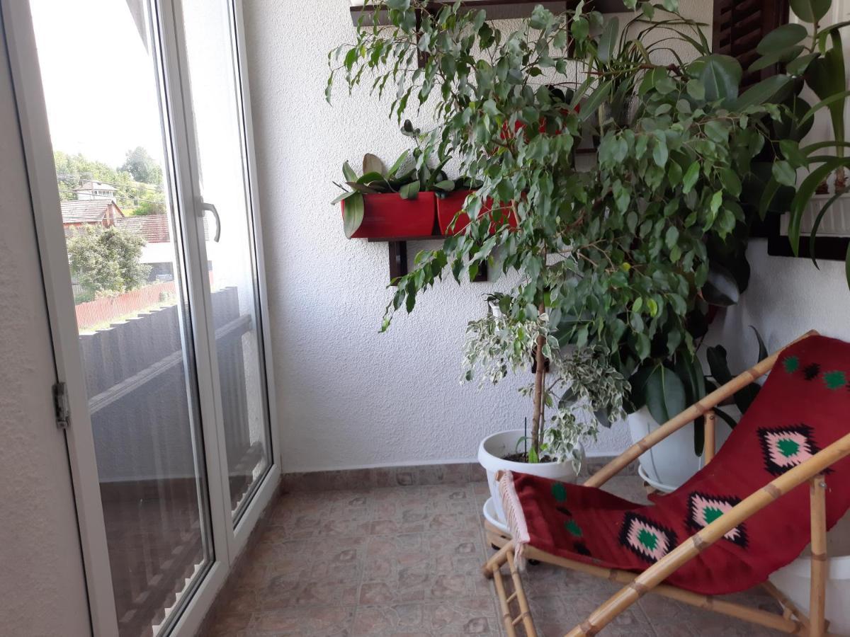Antal Apartmans Lunca De Sus Kulcsoshaz Gyimesfelsolok Екстер'єр фото