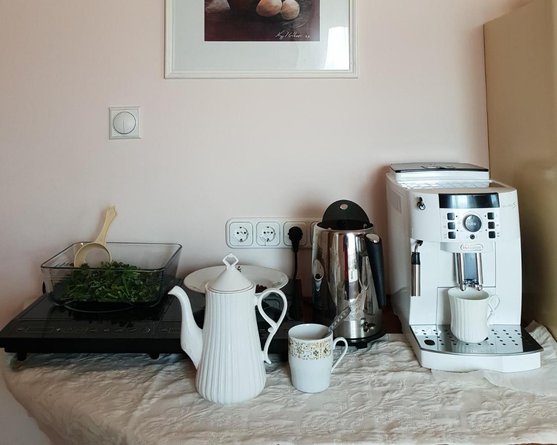 Antal Apartmans Lunca De Sus Kulcsoshaz Gyimesfelsolok Екстер'єр фото