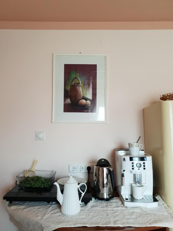 Antal Apartmans Lunca De Sus Kulcsoshaz Gyimesfelsolok Екстер'єр фото